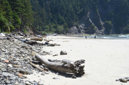 Oswald West State Park