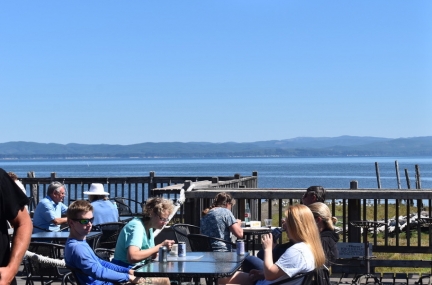 Oysterville Sea Farms