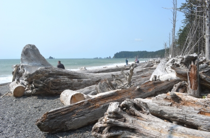 Rialto Beach