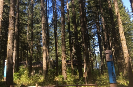 Silver Falls Nature Play Area