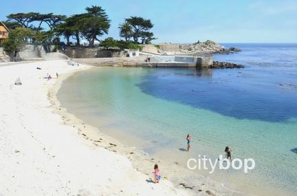 Things to do in Monterey