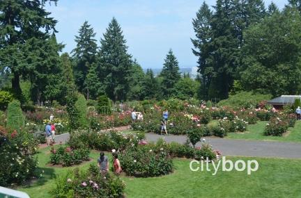 Things to do in Portland Oregon