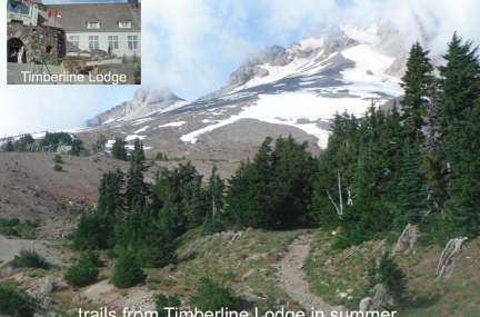 Timberline Lodge