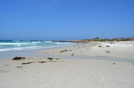 Asilomar State Beach