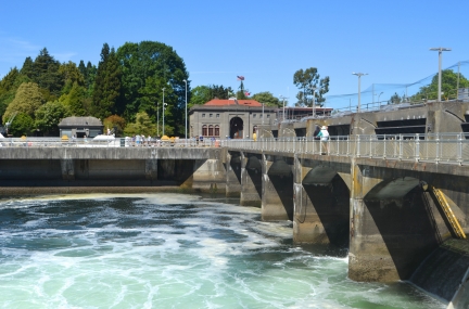 Ballard Locks