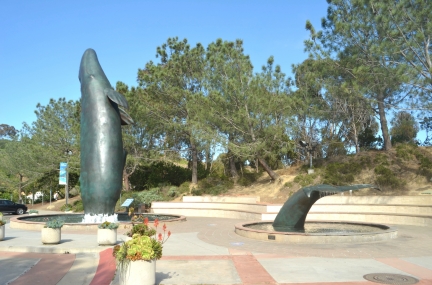 Birch Aquarium