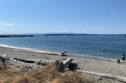 Edmonds Beaches