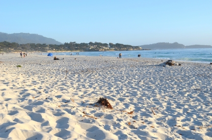 Carmel Beach 