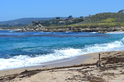 Carmel River State Beach