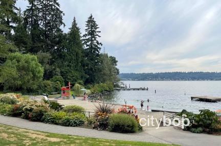 Chism Beach Park