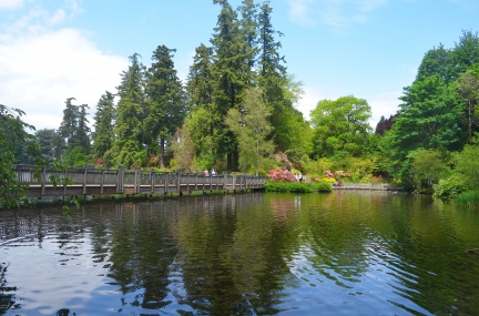 Crystal Springs Rhododendron Garden