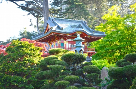 10 BEST Attractions at Japanese Tea Garden San Francisco