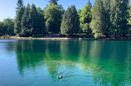 Laurelhurst Park