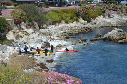 Monterey Kayaking