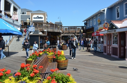 10 BEST Attractions at Pier 39