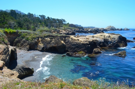 Point Lobos 