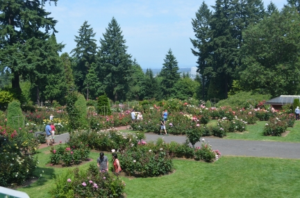 Portland Rose Garden