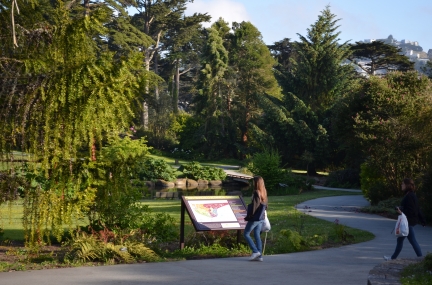 10 BEST Attractions at San Francisco Botanical Garden