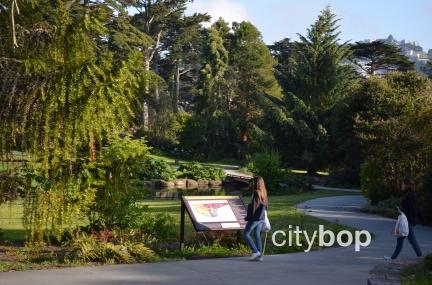 10 BEST Attractions at San Francisco Botanical Garden
