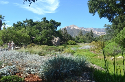 Santa Barbara Botanic Garden 