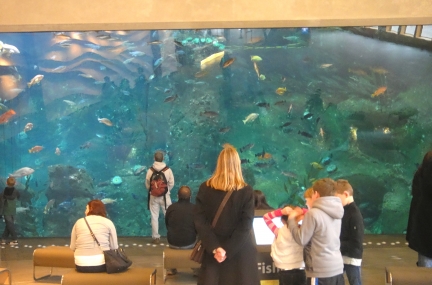 Seattle Aquarium