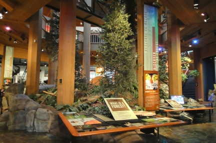 World Forestry Center