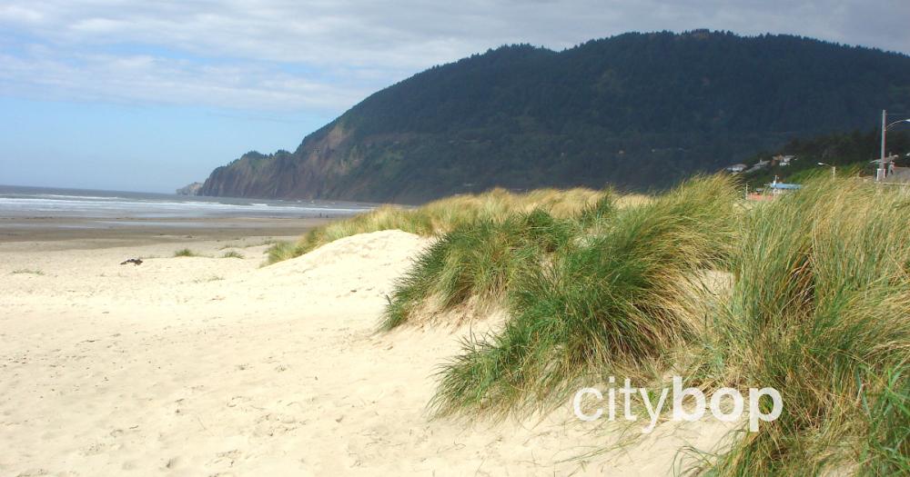 5 BEST Things to Do in Manzanita
