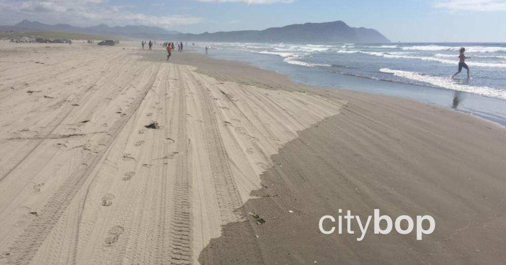 5 BEST Things to Do in Gearhart