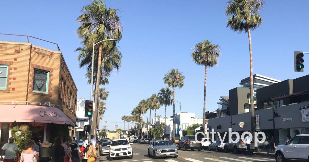5 BEST Things to Do at Abbot Kinney - CityBOP