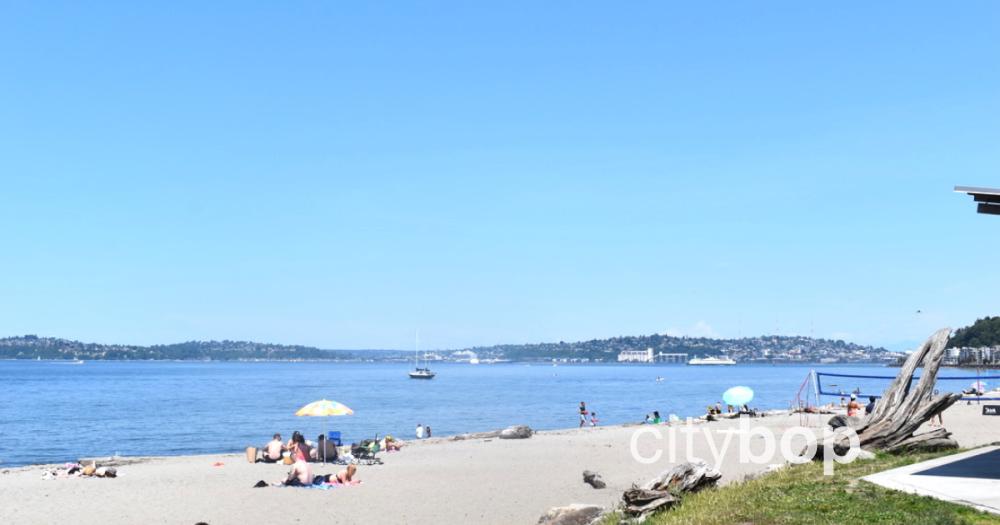 WEST SEATTLE BLOG visual data 2