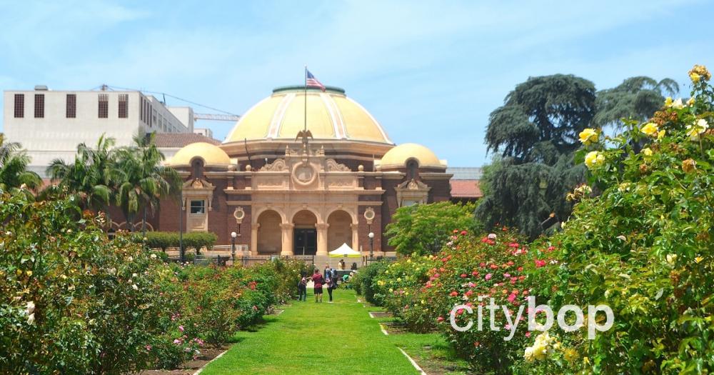 5 BEST Attractions at Exposition Park - CityBOP