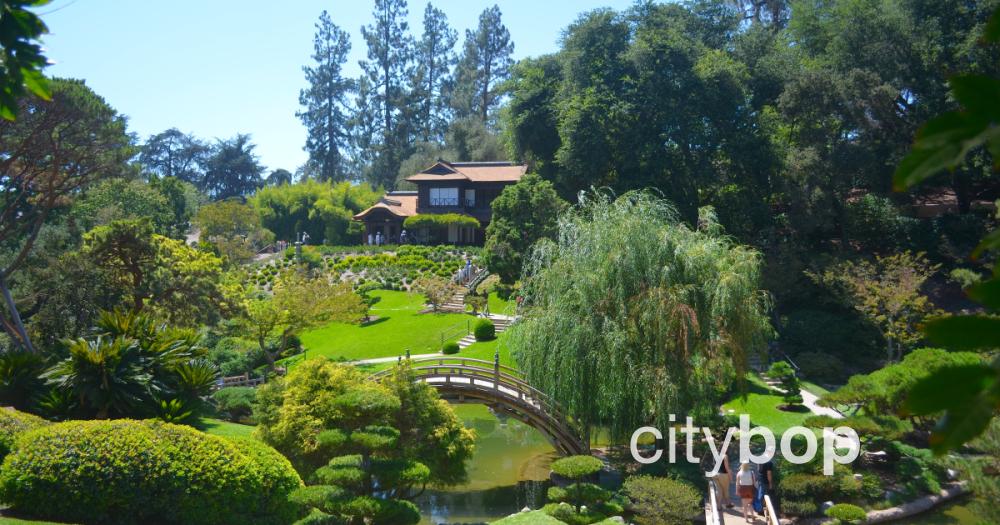 10 BEST Attractions at Huntington Library CityBOP