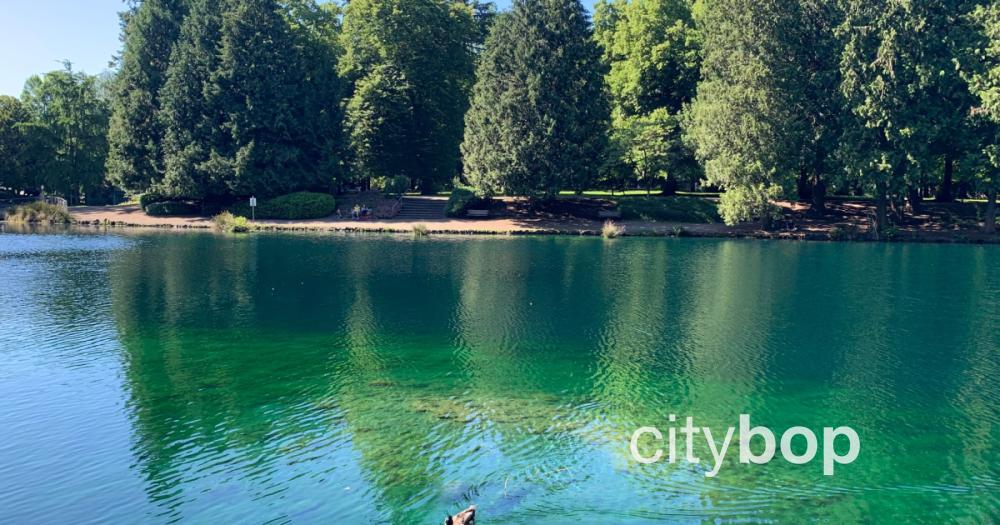 5 BEST Things to Do at Laurelhurst Park (Portland)
