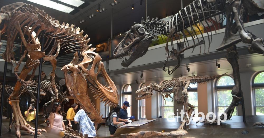 10 Best Attractions At Natural History Museum La