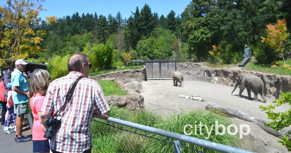 10 BEST Things to Do at Oregon Zoo CityBOP