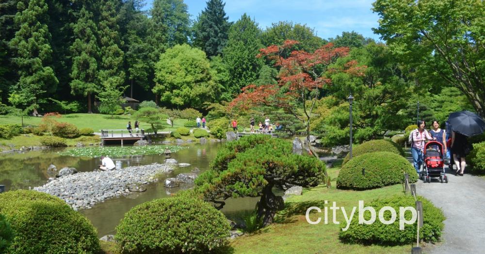 【 新品 】The Japanese Gardden Seattle Japanese Garden - Wikipedia